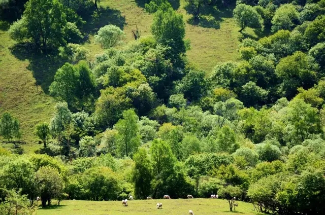 首页-MG视讯厅真人官方网站