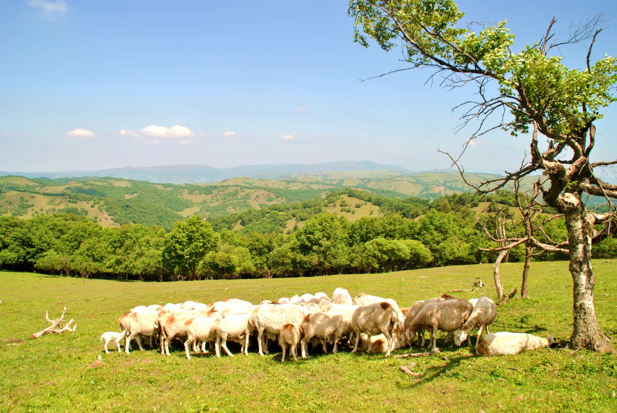 首页-MG视讯厅真人官方网站