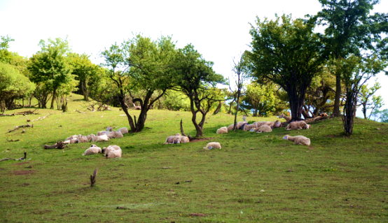 首页-MG视讯厅真人官方网站