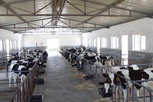 ��ҳ-MG��Ѷ�����˹ٷ���վ