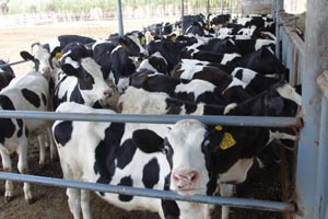 ��ҳ-MG��Ѷ�����˹ٷ���վ