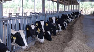 ��ҳ-MG��Ѷ�����˹ٷ���վ