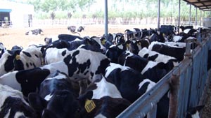 ��ҳ-MG��Ѷ�����˹ٷ���վ