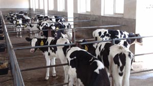 ��ҳ-MG��Ѷ�����˹ٷ���վ